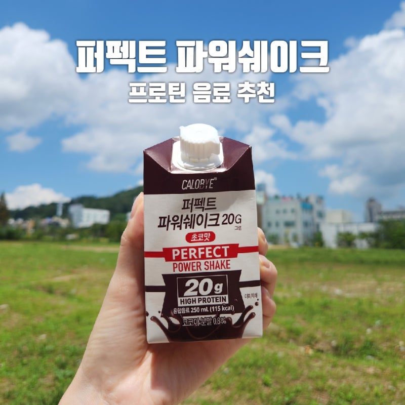 김종국 프로틴 음료 칼로바이 퍼펙트 파워쉐이크 20g 초코맛