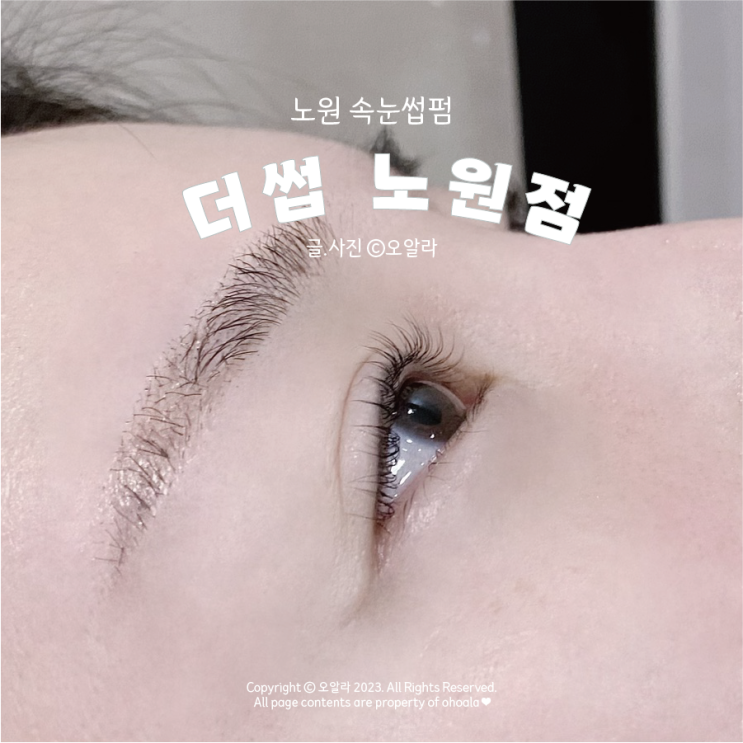  [서울/노원] 노원 속눈썹펌 : 더썹 노원점 @구)루루앤아이래쉬