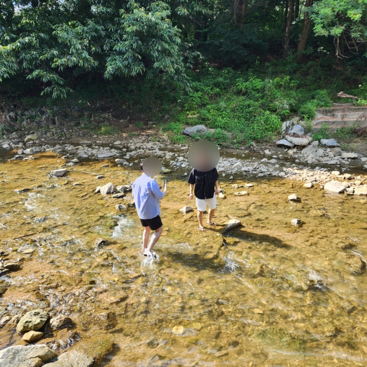  경기도 주변 용인시 수지구 고기리 계곡 분위기 좋은 브런치 카페 추천'테라스 478'