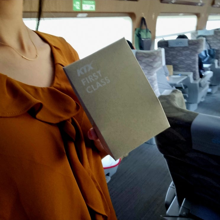  KTX 특실 서비스(간식 생수 충전기 콘센트 좌석) KTX 일반실 특실 차이