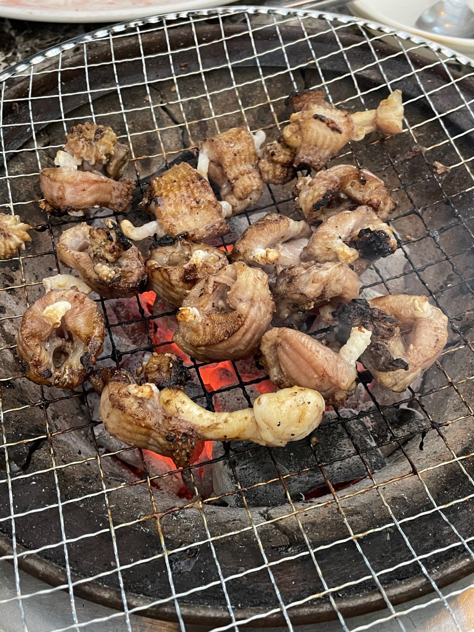 꼼틀꼼틀자갈치꼼장어 무거점 사진 3