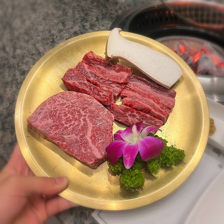  분당룸식당 추천 설화한우에서 투쁠한우 후기 분당한우맛집 인정