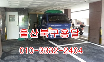 울산북구용달 호계 입실 모화 외동 불국사 울릉도이사. 울산북구용달 호계 입실 모화 외동 불국사 울릉도이사.