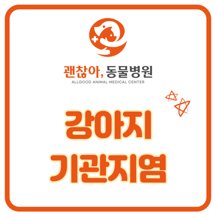  평택고덕 괜찮아 동물병원과 강아지 기관지염 알아보기(화성시 정남면 동물병원)