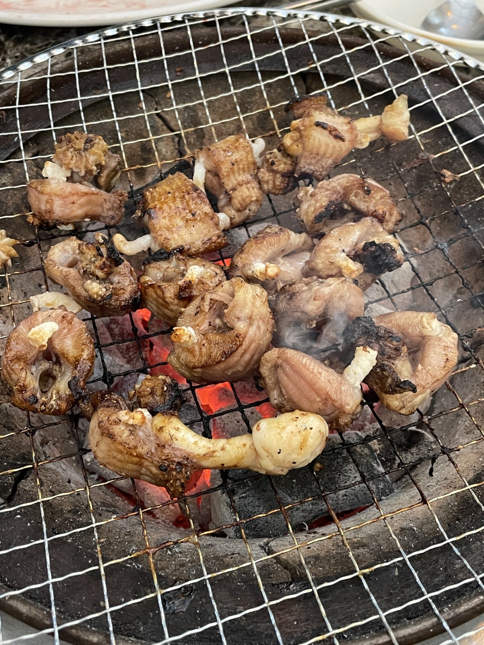 꼼틀꼼틀자갈치꼼장어 무거점 사진 1