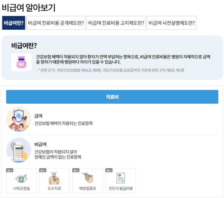  가다실9 1차 후기 및 비급여 진료항목 비용 조회 방법