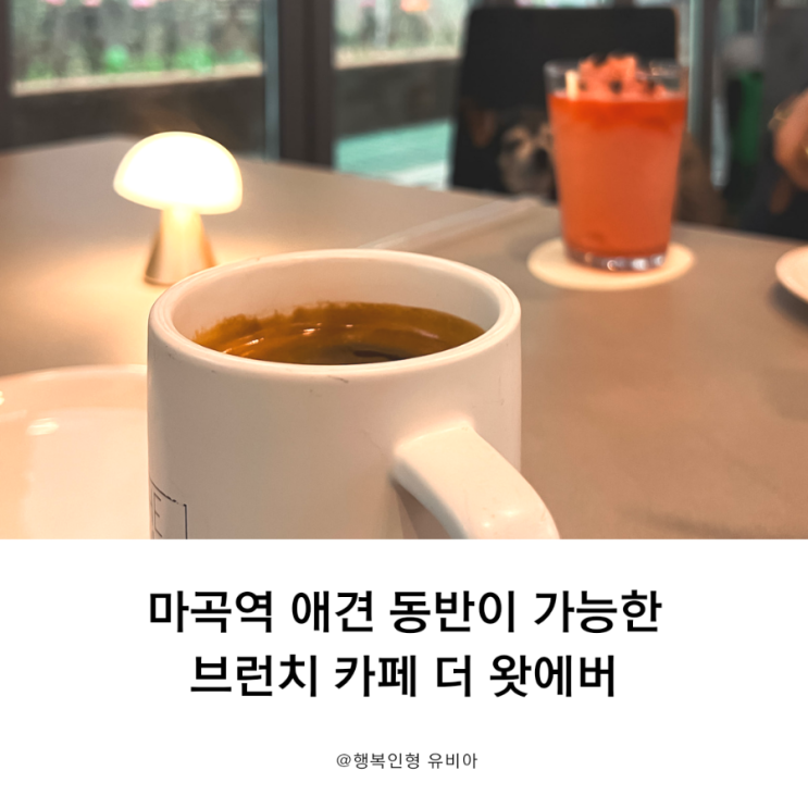  애견동반 가능 마곡데이트 / 마곡브런치카페 마곡역 5번출구 더 왓에버 추천