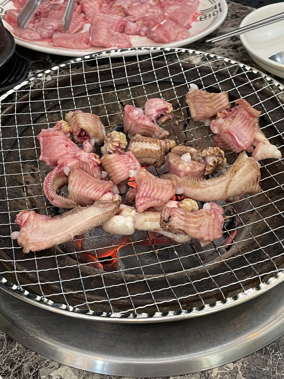 꼼틀꼼틀자갈치꼼장어 무거점 사진 2