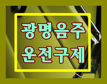  천안 음주운전 면허취소 행정심판 사례를 통해