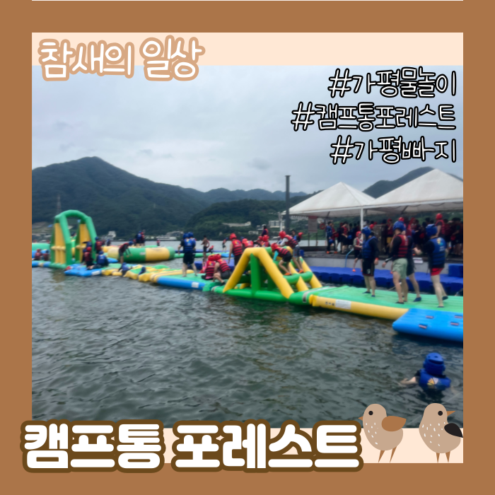  가평 물놀이 '캠프통포레스트' 이용 솔직 후기, 준비물 등