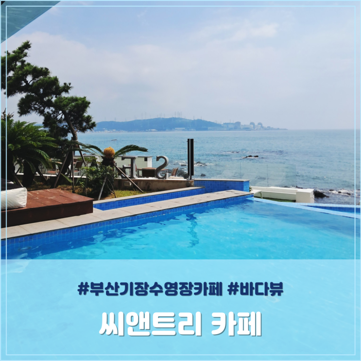 부산 기장 수영장 카페 바다뷰 씨앤트리카페