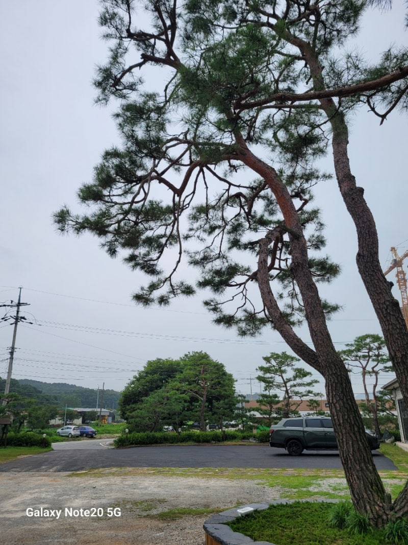 사진 2