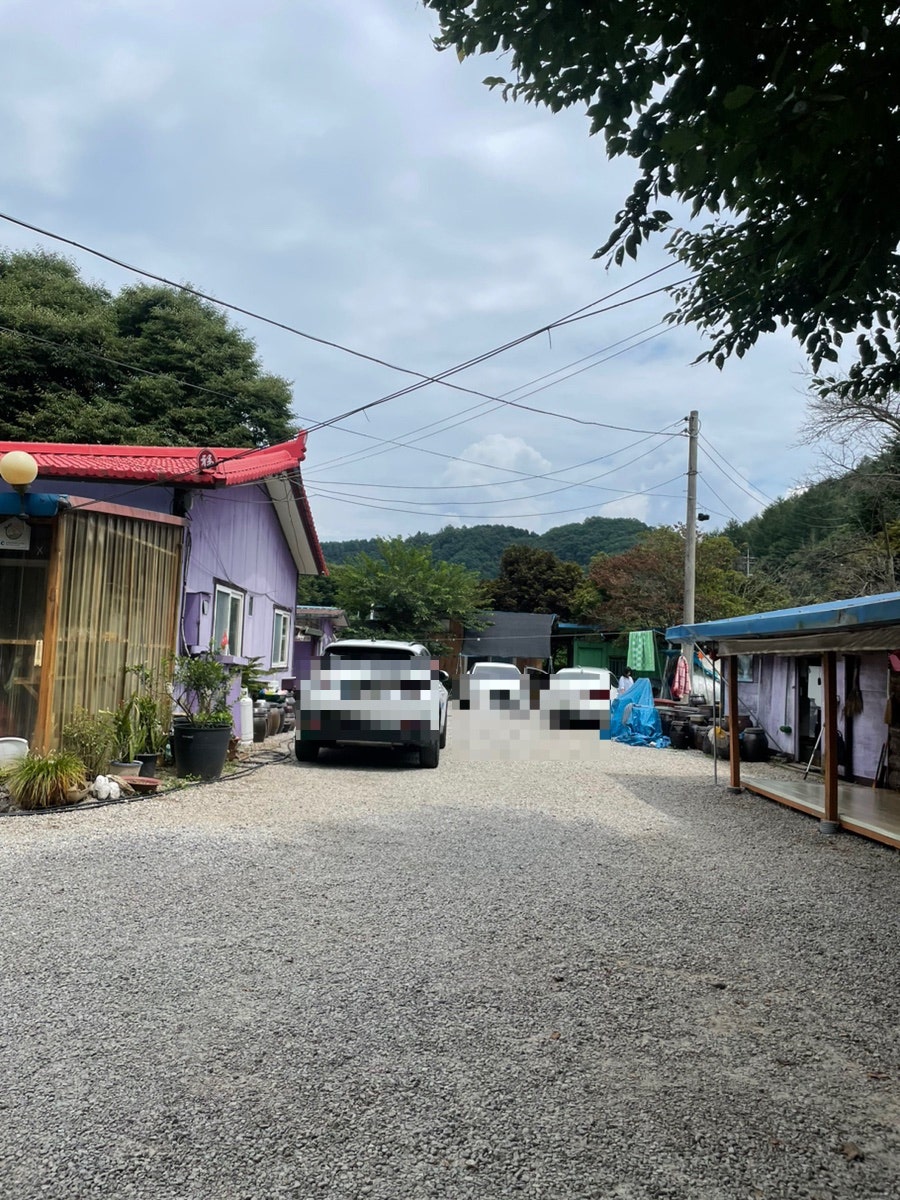 우레골황가네 사진 3