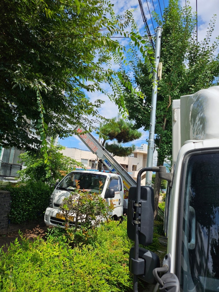 진주사다리차 사천 남해 고성 산청 함양 하동 의령 합천 진주시사다리차 진주사다리차 사천 남해 고성 산청 함양 하동 의령 합천 진주시사다리차