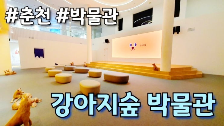  강원 춘천 : 강아지숲 박물관 후기