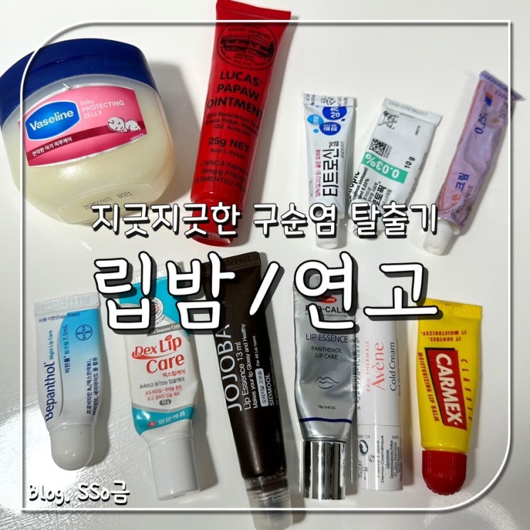  [구순염 탈출] 올리브영 립밤 /연고 사용 후기(feat. 입술 옆 찢어짐, 포진, 수포 다 있었음)