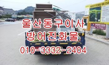울산동구용달 방어진 정자 양남 양북 감포 울릉도이사. 울산동구용달 방어진 정자 양남 양북 감포 울릉도이사.