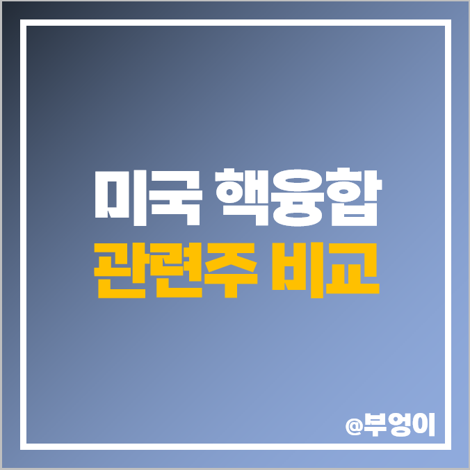미국 핵융합 관련주 대장주, 리튬 에너지 발전 주식 비교 미국 핵융합 관련주 대장주, 리튬 에너지 발전 주식 비교