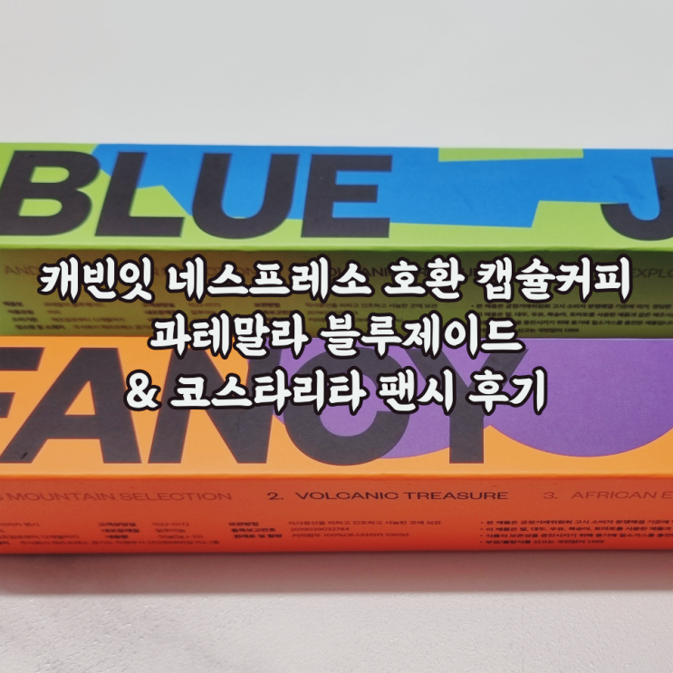  캐빈잇 네스프레소 호환 캡슐 과테말라 블루제이드 & 코스타리카 팬시 후기
