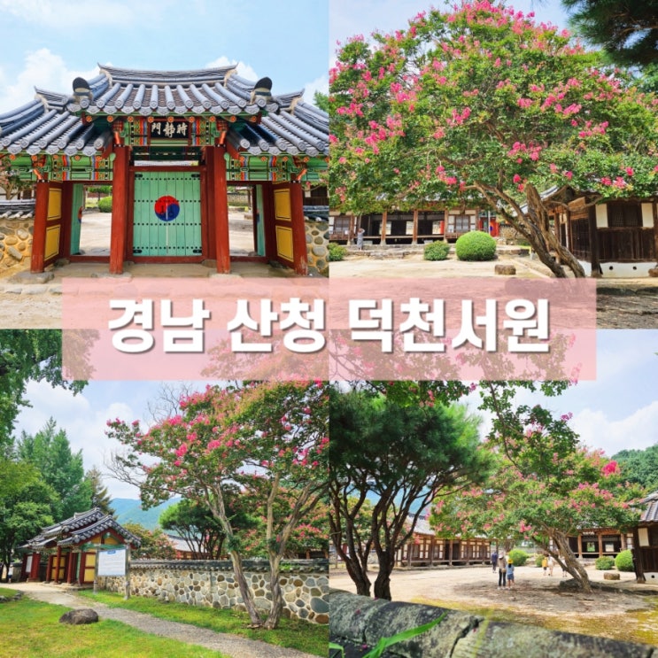  배롱나무의 아름다움을 담고 있는 경남 산청 덕천서원