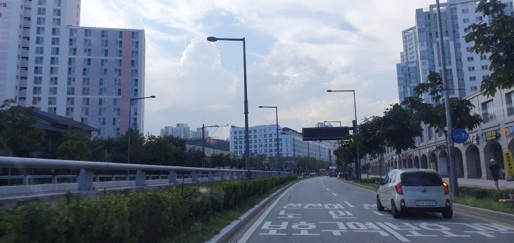 개인운전연수 방문 도로연수 내돈내산 가격 추천 ( 3일동안 받길 너무 잘했네요  )