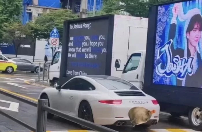 '럽스타그램 의혹' 조슈아, 탈퇴 요구하는 트럭 시위대 앞에 포르쉐 3대 세워놓은 세븐틴 팬덤