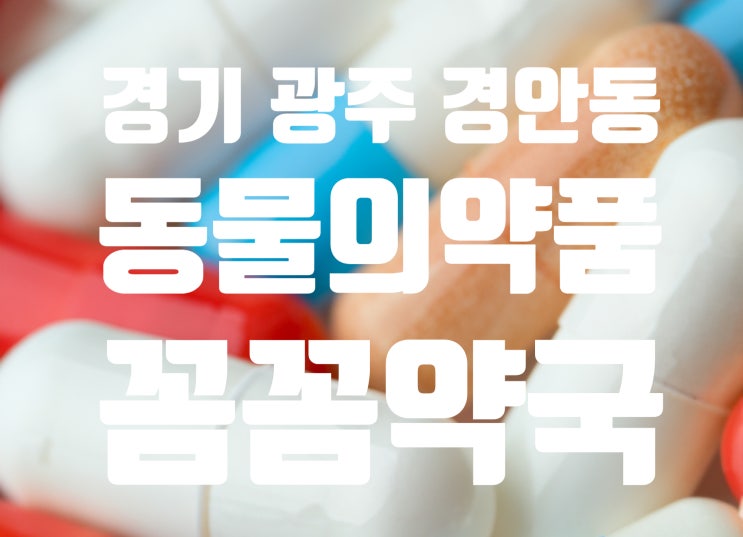  경기 광주 경안동 동물의약품 약국, 심장사상충약 등