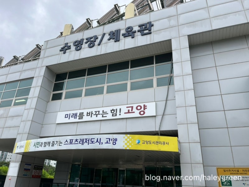 일산 실내수영장, 고양 어울림누리 꽃우물수영장 자유수영 후기 (고양 일산 YMCA 수영장 비교)