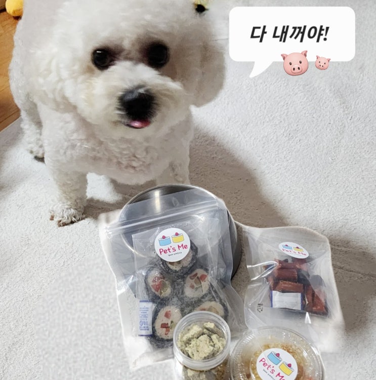  수원 매탄공원 반려동물 수제간식 펫츠미, 펫푸드 원데이클래스도 있어요~