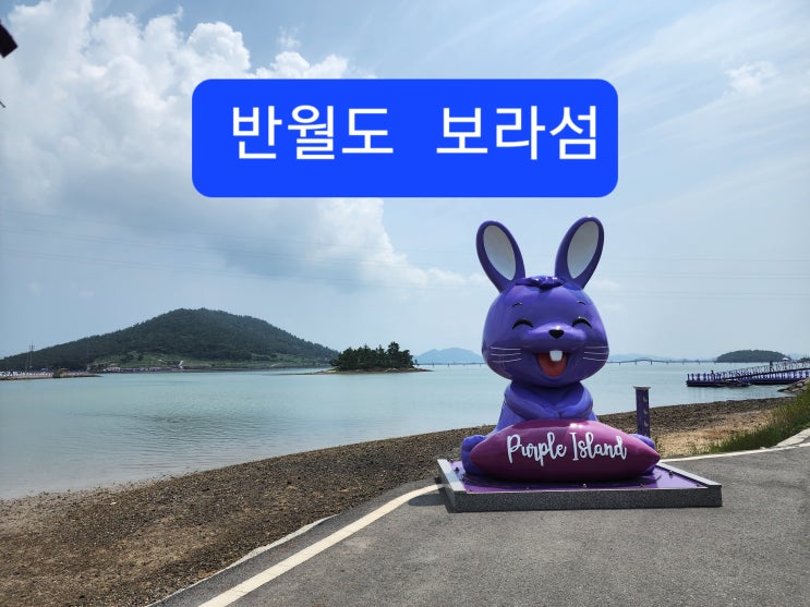 신안 퍼플섬(보라섬) 반월도 천사대교 <b>광주 송정</b>역<b>시장</b>... 