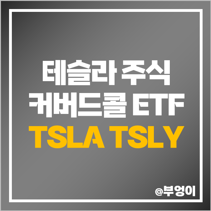 미국 고배당주 ETF TSLY 주가 배당 수익률, 테슬라 전기차 관련주