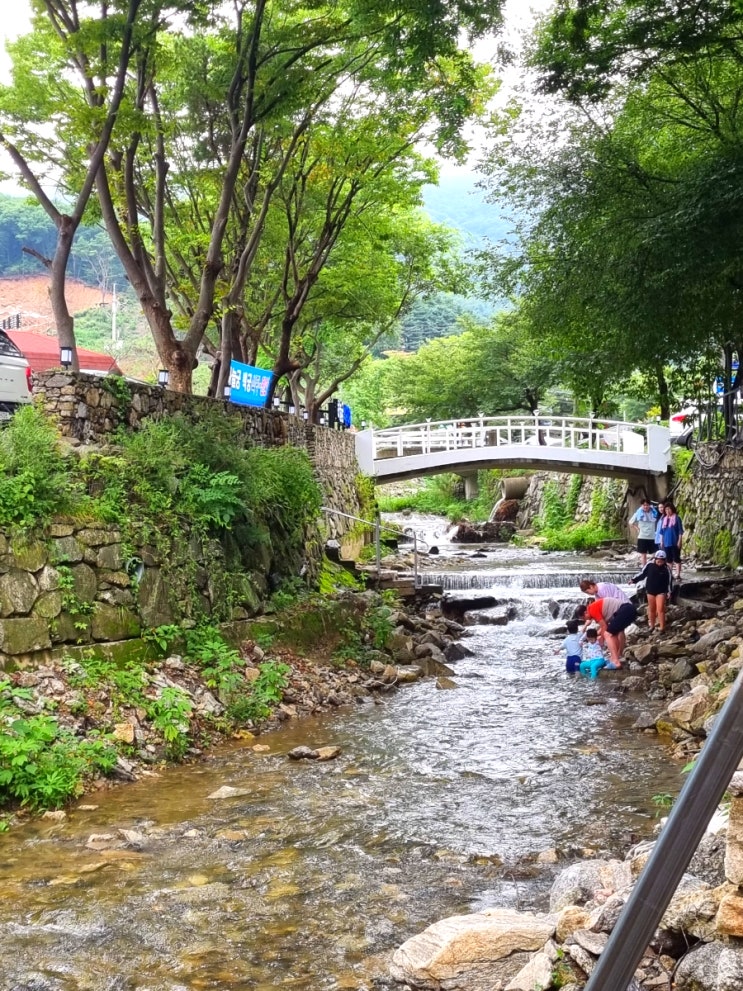  [장흥] 한울타리 : 물놀이 가능한 계곡 식당 맛집 솔직후기
