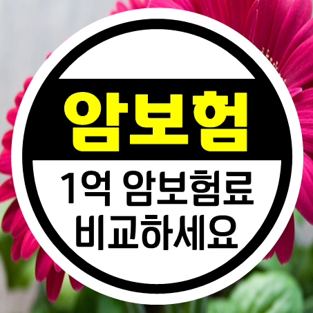  암보험 1억, 딱 들어맞는 암보험료 계산 해보는 비법 공개