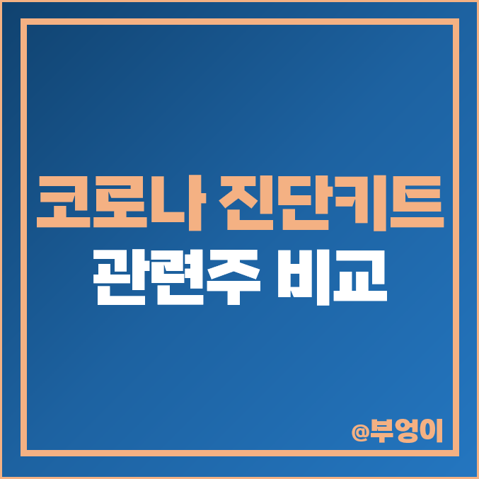 코로나 진단키트 관련주 지노믹트리 주식 주가 PER PBR