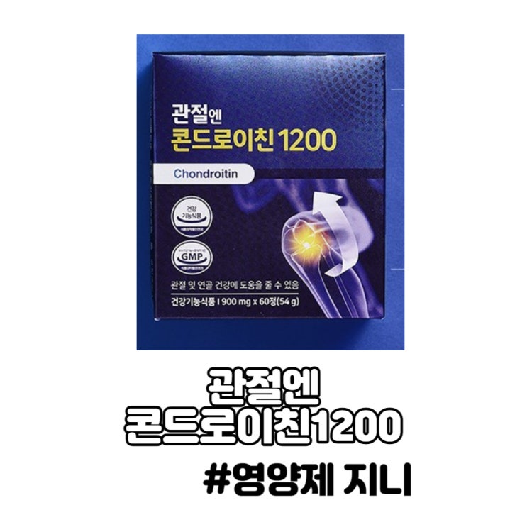 콘드로이친1200 관절건강 연골 염증