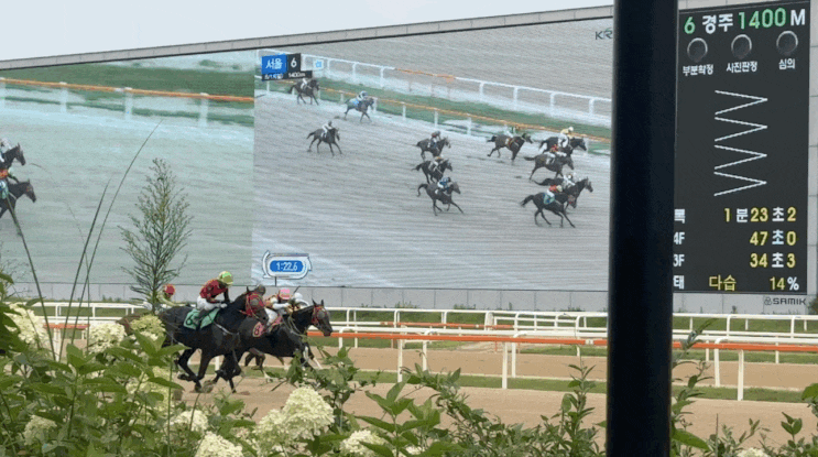 [서울 이색 데이트] 렛츠런파크 경마 배팅 체험 짱신나
