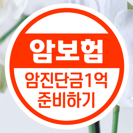  암진단금 1억 만들 때 암보험 환급형으로 선택해도 괜찮을까?