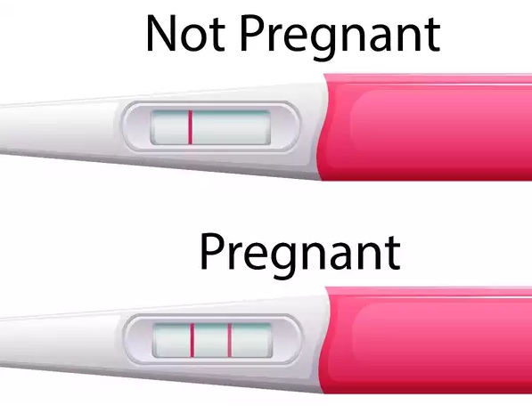  다이어트약 임신 3가지 사례
