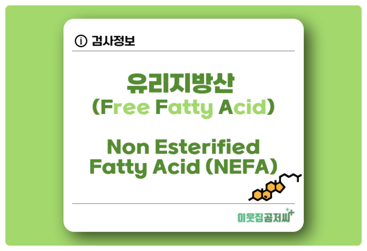 유리지방산 Free Fatty Acid 수치와 검사 NEFA 알아보기