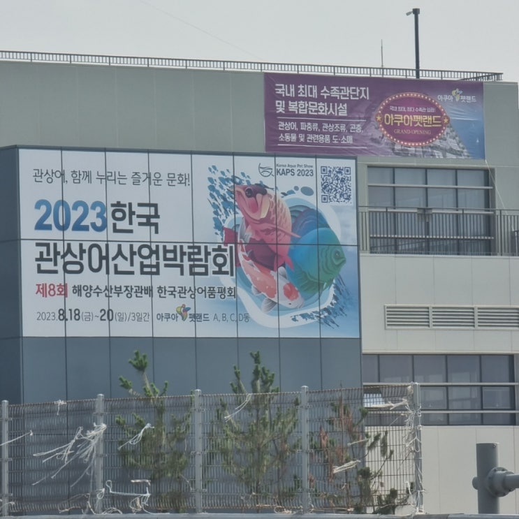  아쿠아펫 랜드 2023 한국 관상어 박람회 예정