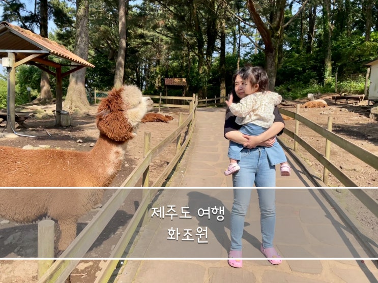  [여행] 제주 여행 아기랑 가볼만한 곳 - 화조원