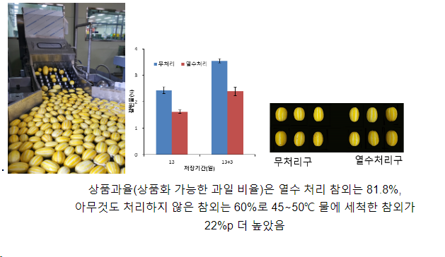 참외 껍질 ‘갈변의 비밀’ 세계 최초로 밝혀 참외 껍질 ‘갈변의 비밀’ 세계 최초로 밝혀