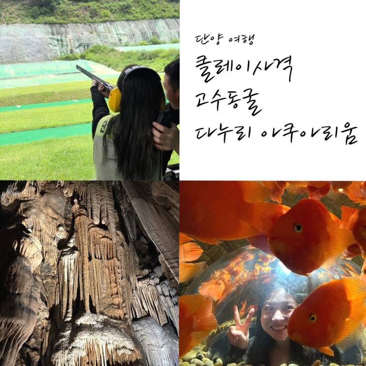  [단양] 클레이사격, 고수동굴, 다누리 아쿠아리움: 이 루트 어때오?