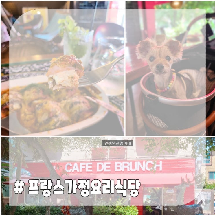  일산 애견동반 식당 카페 드 브런치 프랑스가정요리 맛집