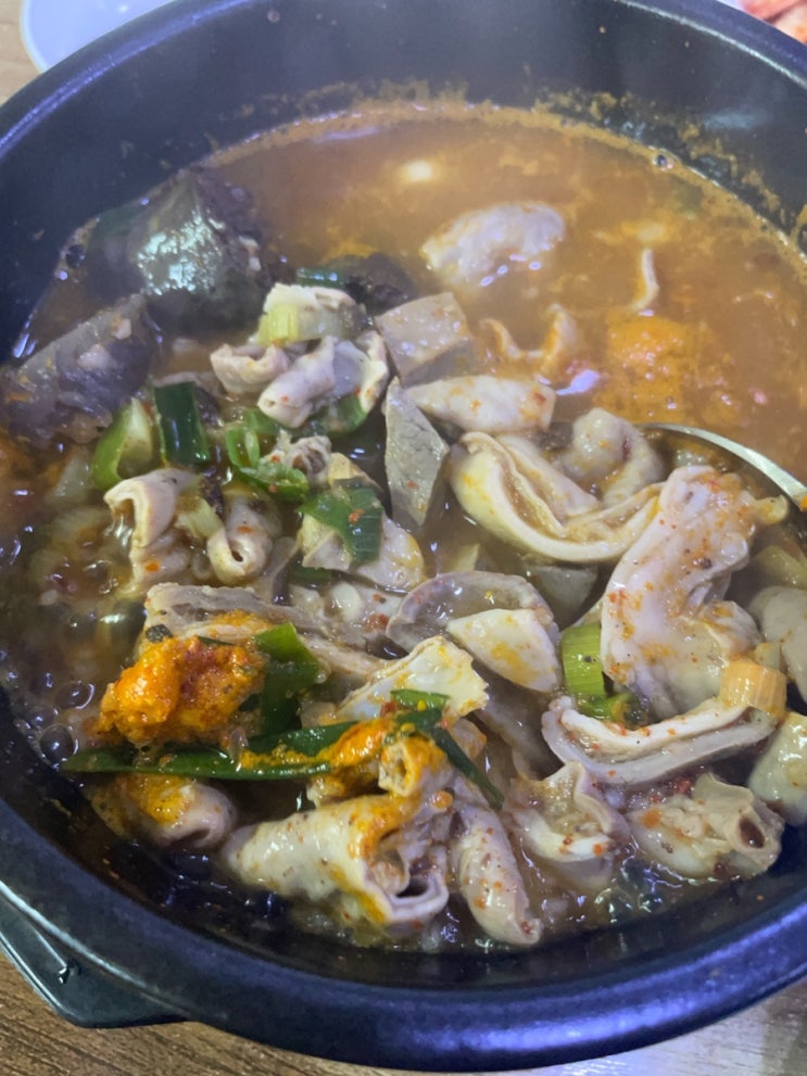  전주 국밥 맛집 풍남 피순대 한옥마을 근처 혼밥 내돈내산