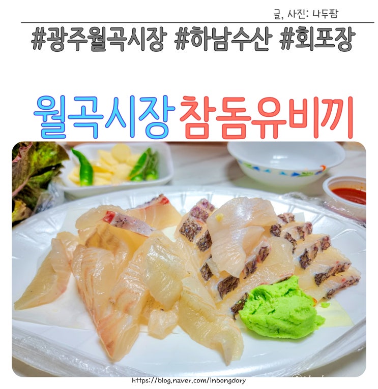 광주 광산구 횟집 월곡시장 맛집 하남수산 참돔유비끼 회포장