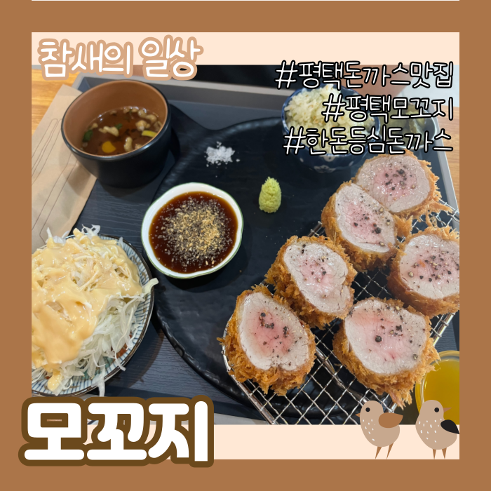 평택 비전동 돈까스 맛집 '모꼬지' 방문 후기- 한돈안심/연어덮밥