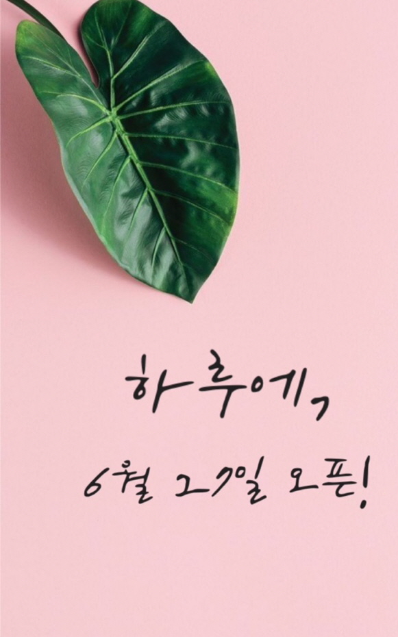  하루에, 뷰티샵 갤러리 오픈하다~~
