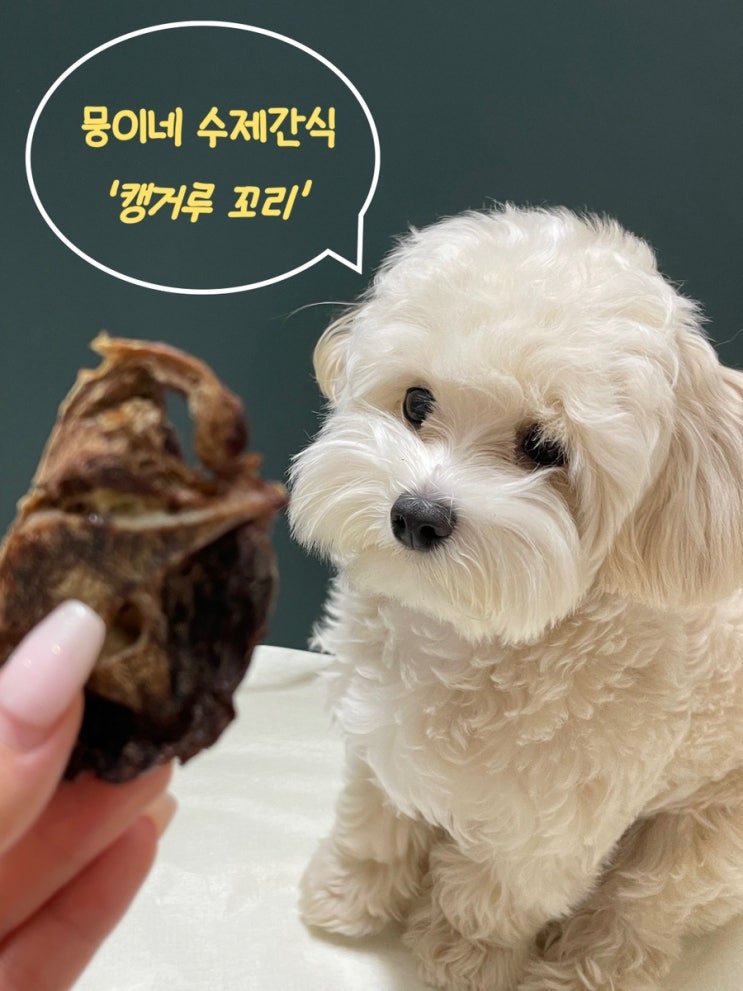뭉이네수제간식 캥거루꼬리 오래먹는 강아지 간식 추천