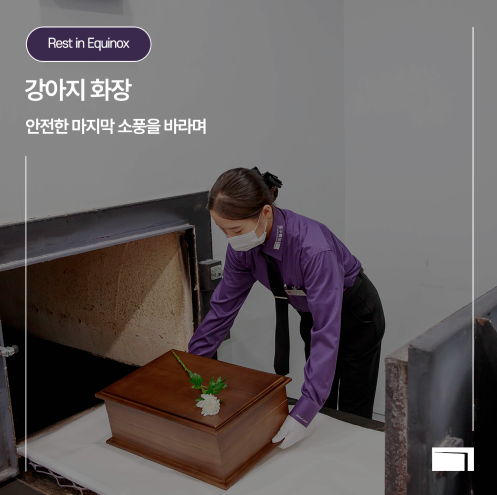  진주강아지장례식장 하늘소풍_ 반려동물 화장 절차